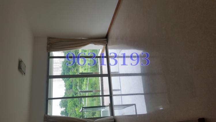 Clover By The Park (D20), Condominium #117229782